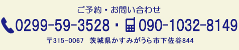 ブルーベリーやすだ ご予約・お問い合わせ