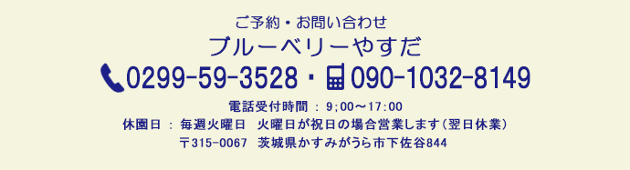 ブルーベリーやすだ ご予約・お問い合わせ